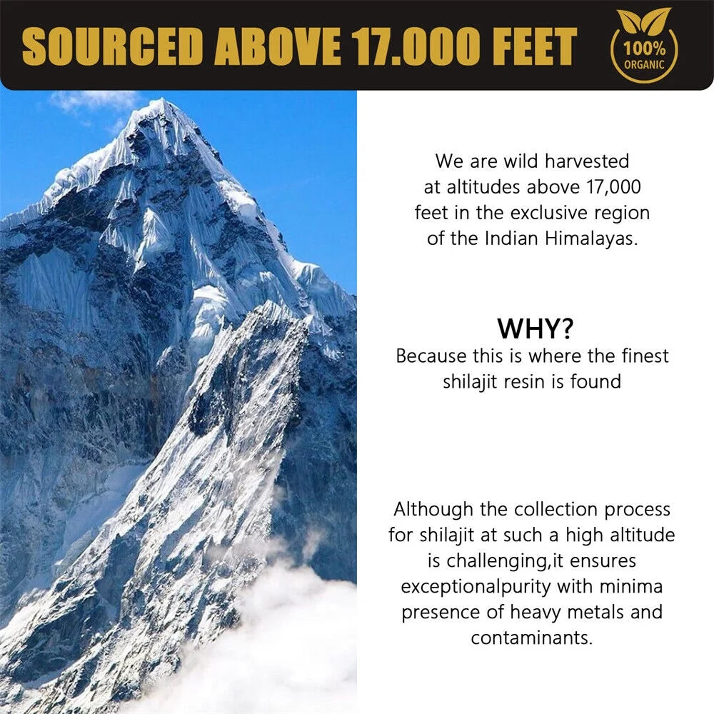 Shilajit with Trace Minerals X5665