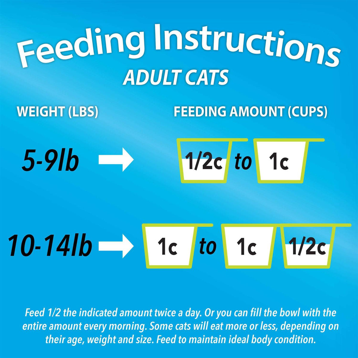 Dry Cat Food R4657