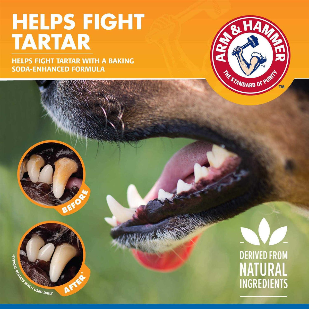 Tartar Control Dental Spray for Dogs X7039