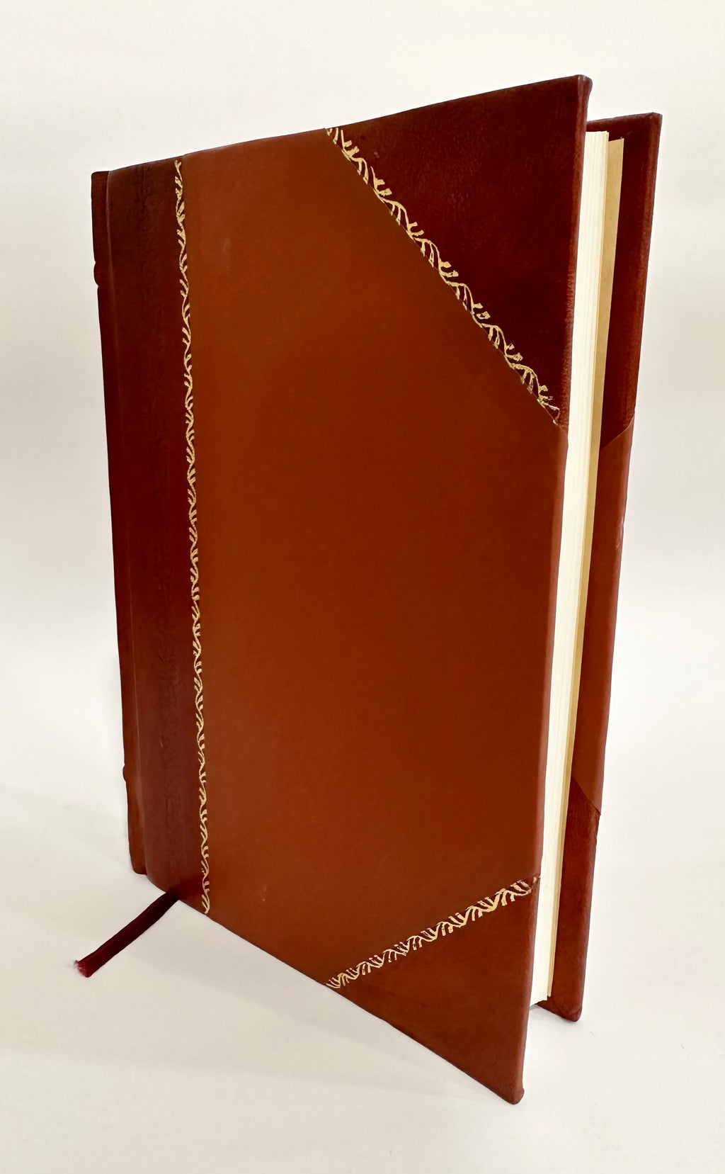 Leather Bound N445229