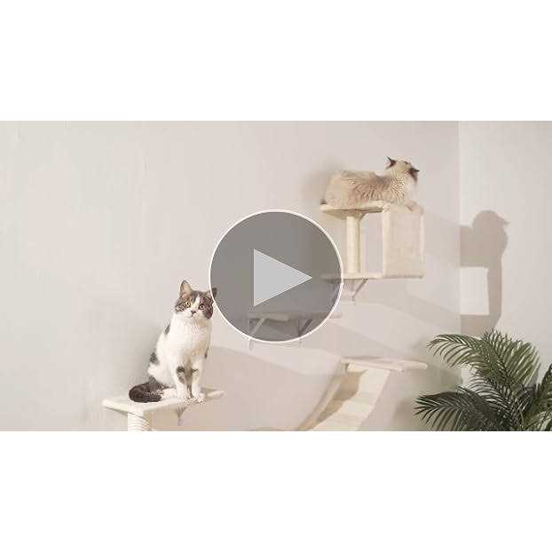 Wall-Mounted Cat Furniture 5pcs Wooden Cat Shelves O387