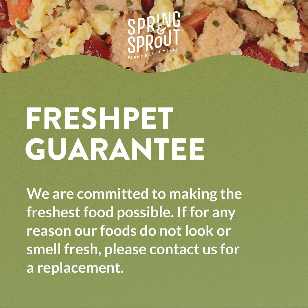 Plant-Based Protein & Cage-Free Egg Recipe Dog Food O1596