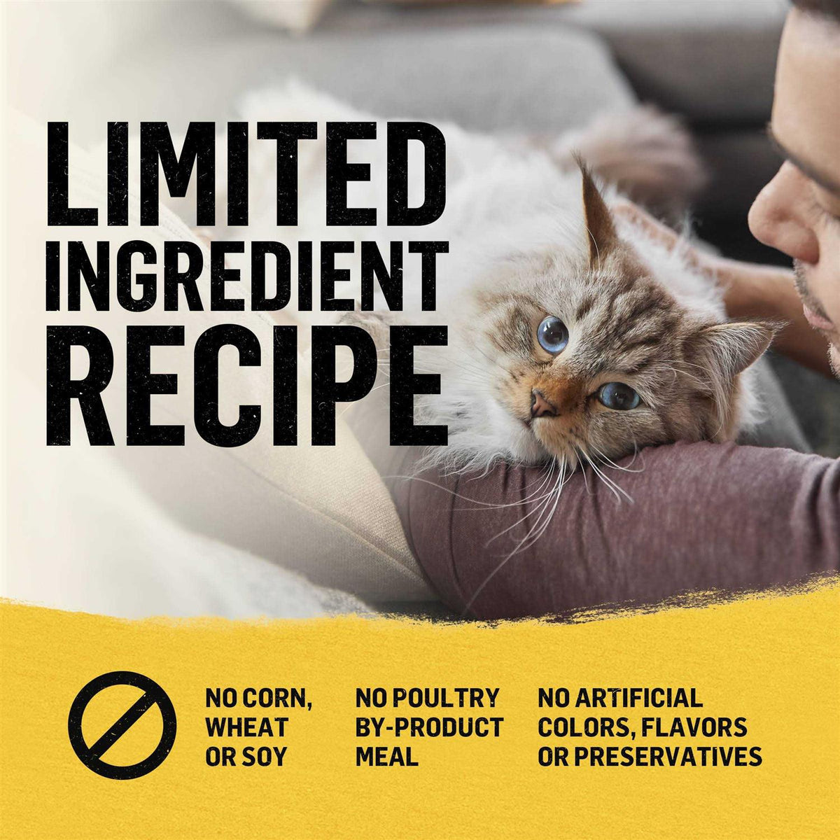 Cat Dry Food B1958