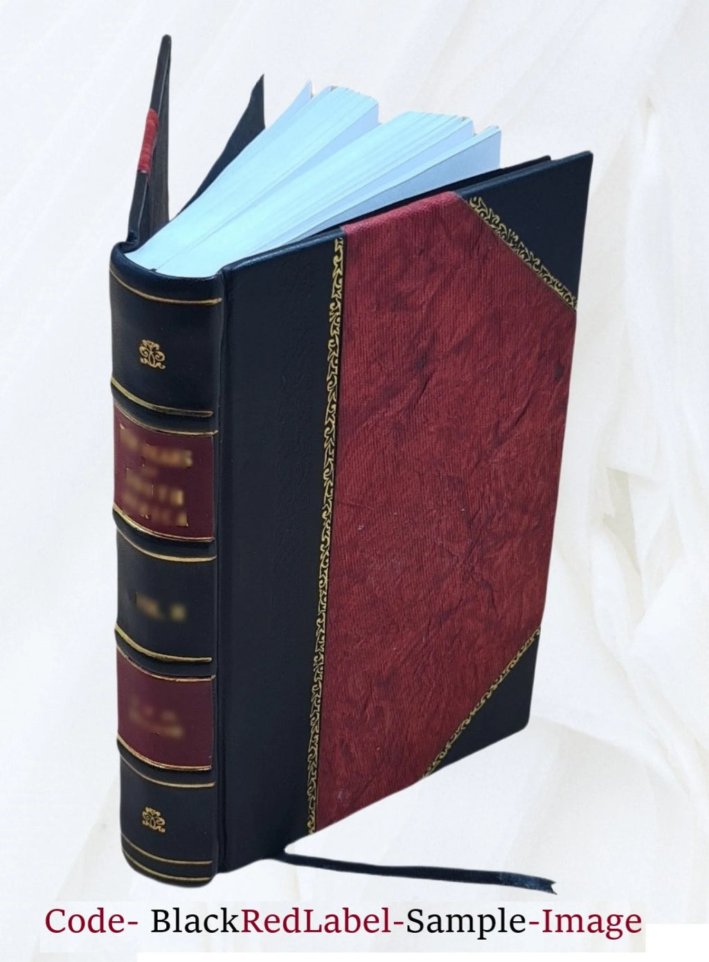 Leather Bound Book V415325